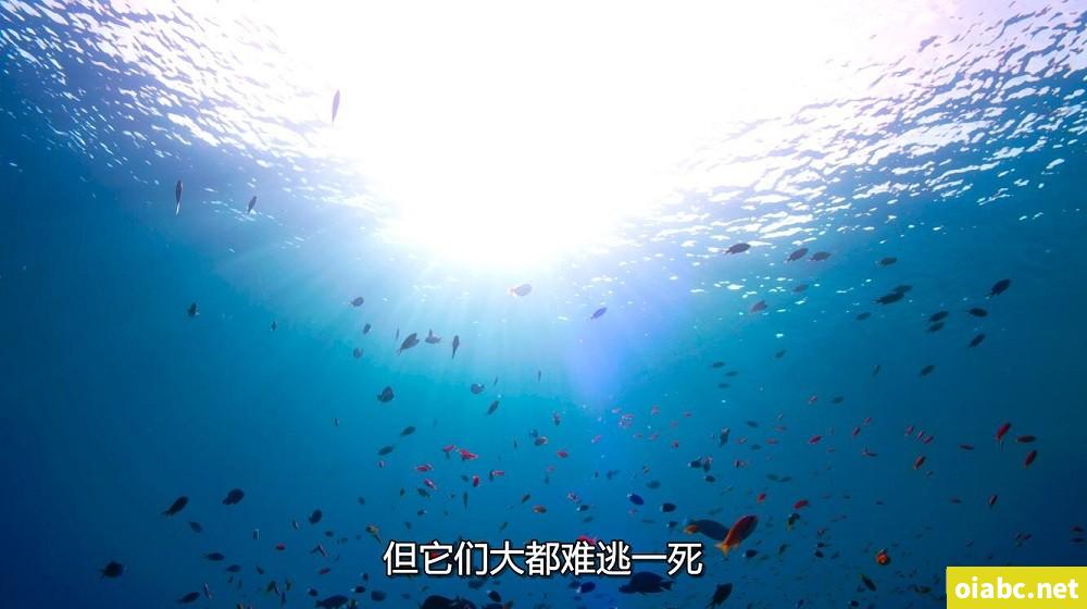 麻生希第三部剧照1